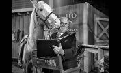 Mister Ed