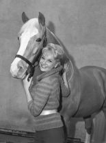 Mister Ed