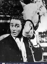 Mister Ed