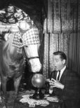 Mister Ed