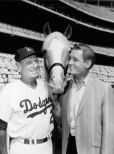Mister Ed