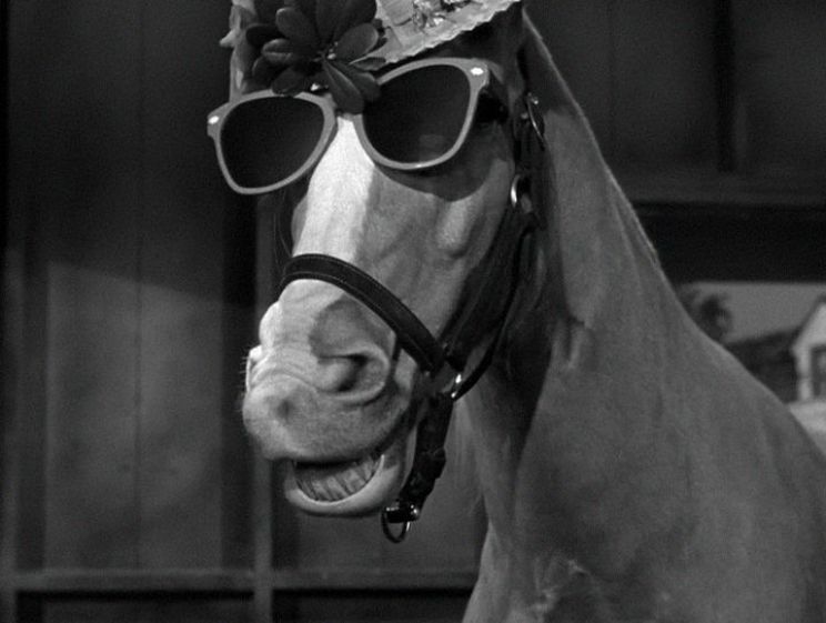 Mister Ed