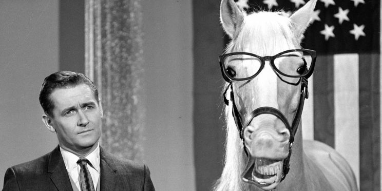 Mister Ed