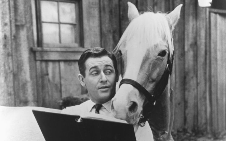 Mister Ed