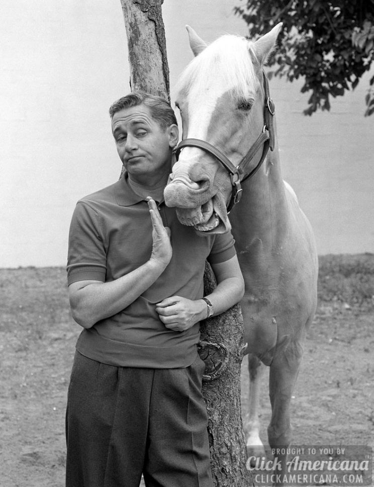 Mister Ed