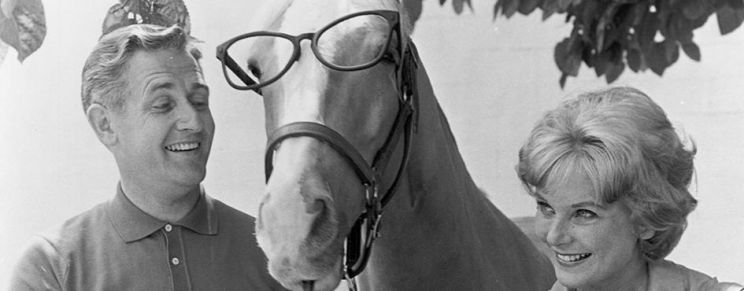 Mister Ed