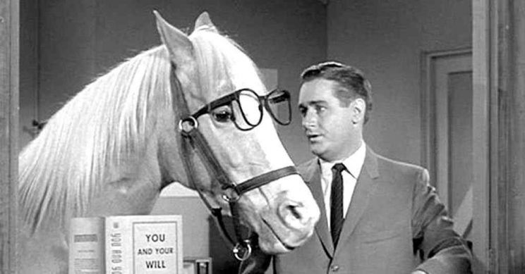 Mister Ed