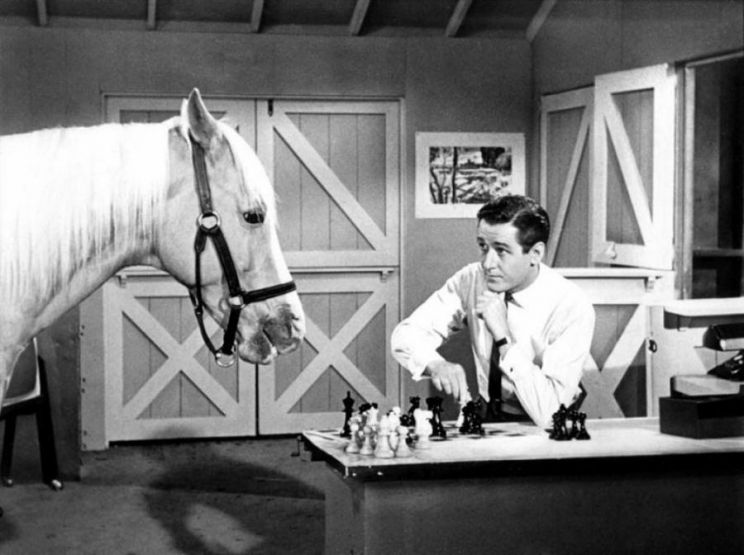 Mister Ed