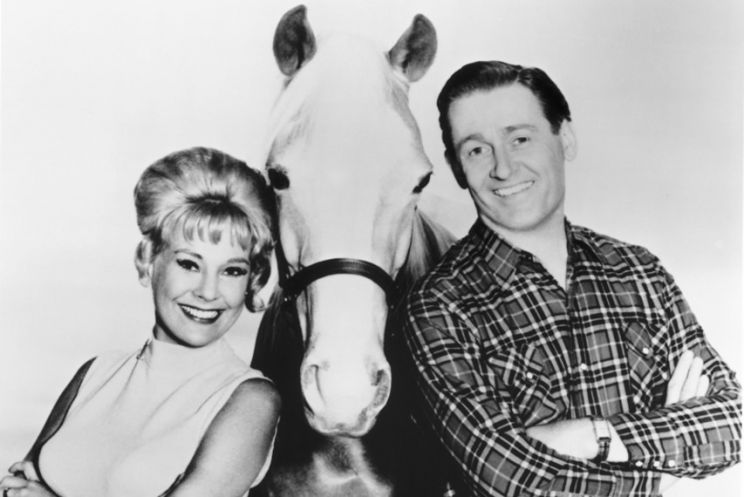 Mister Ed