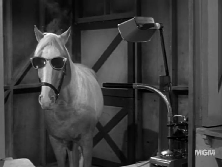 Mister Ed