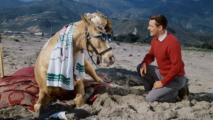 Mister Ed