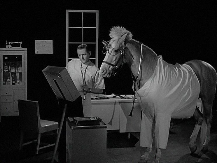 Mister Ed