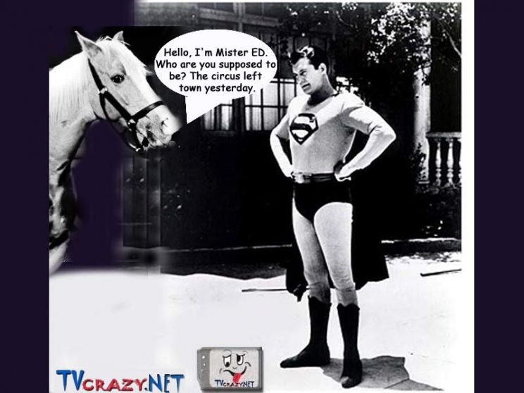 Mister Ed