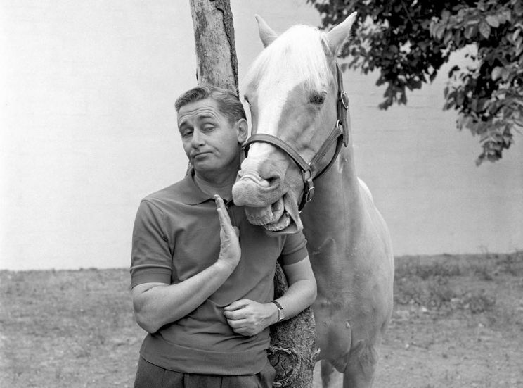 Mister Ed