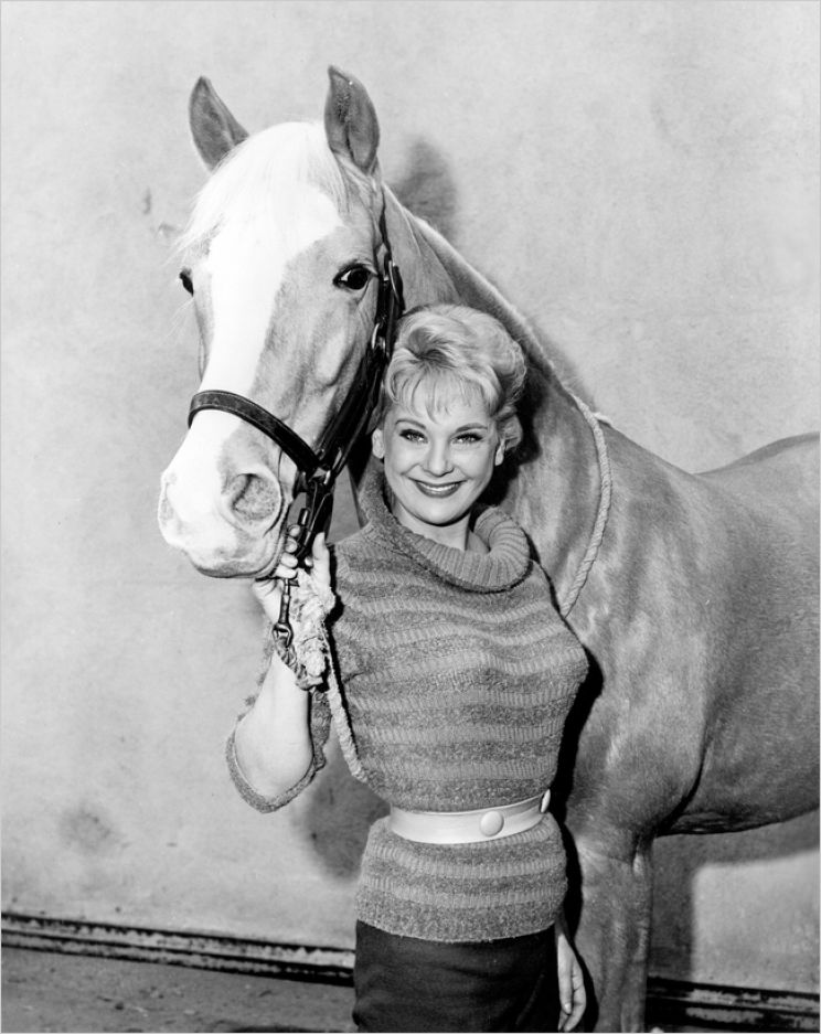 Mister Ed