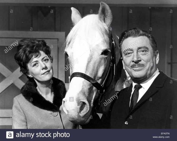 Mister Ed