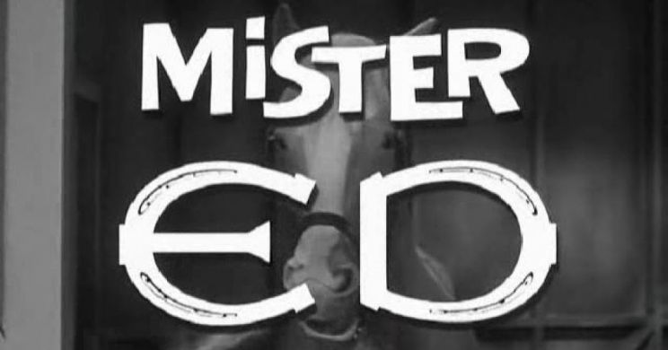 Mister Ed