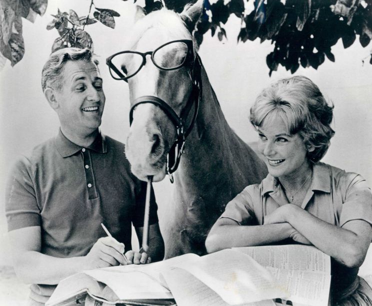 Mister Ed