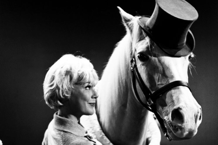 Mister Ed