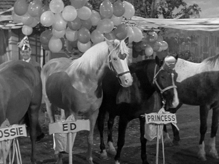 Mister Ed