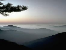 Misty Dawn photo