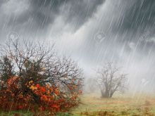 Misty Rain