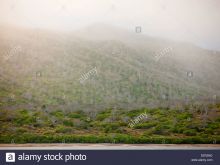 Misty Rain