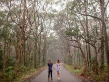 Misty Rain