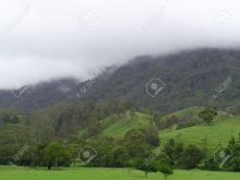 Misty Rain