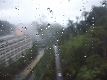 Misty Rain