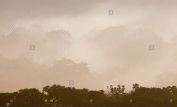 Misty Rain