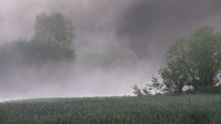 Misty Rain