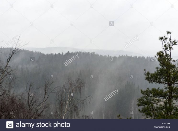 Misty Rain