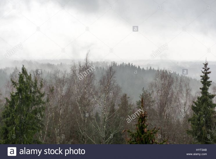 Misty Rain