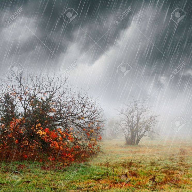 Misty Rain