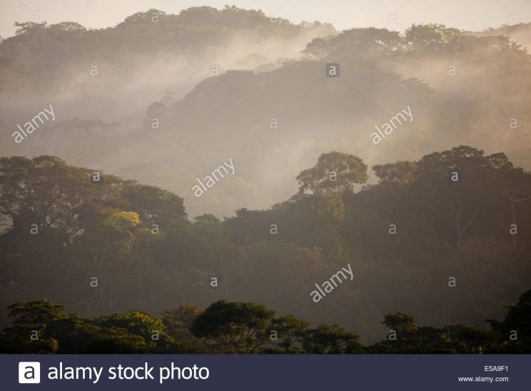 Misty Rain