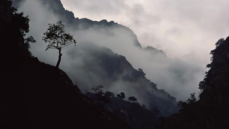 Misty Rain