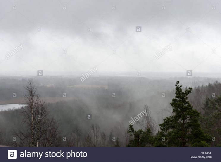 Misty Rain