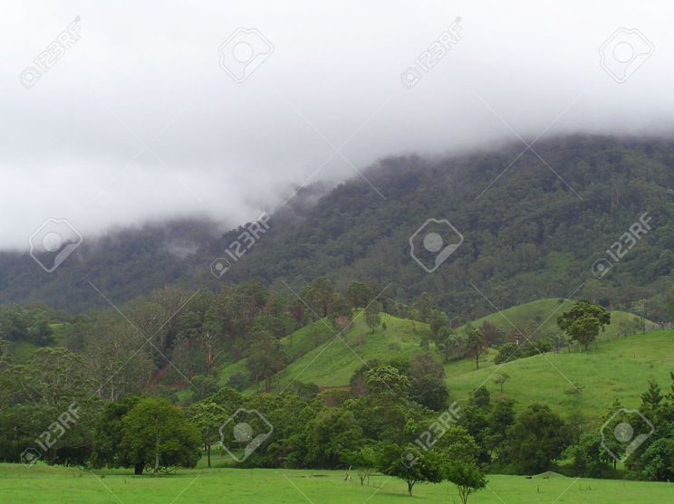 Misty Rain
