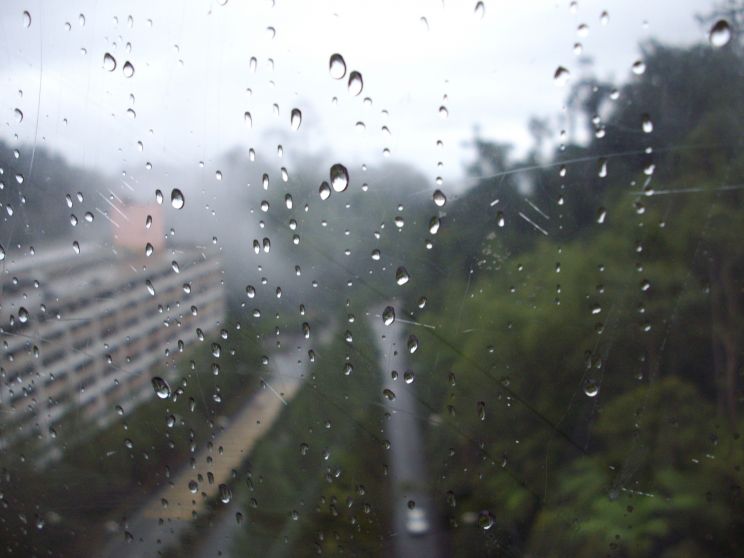 Misty Rain