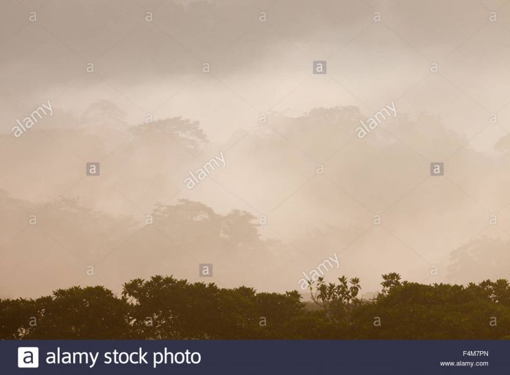 Misty Rain