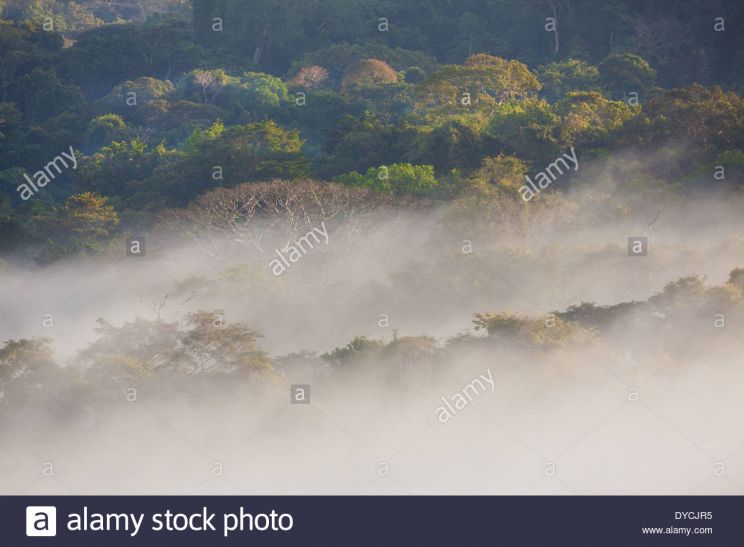 Misty Rain