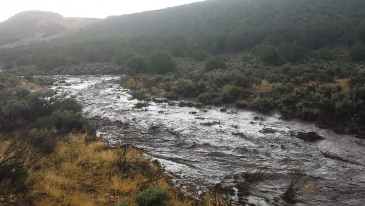 Misty Rain