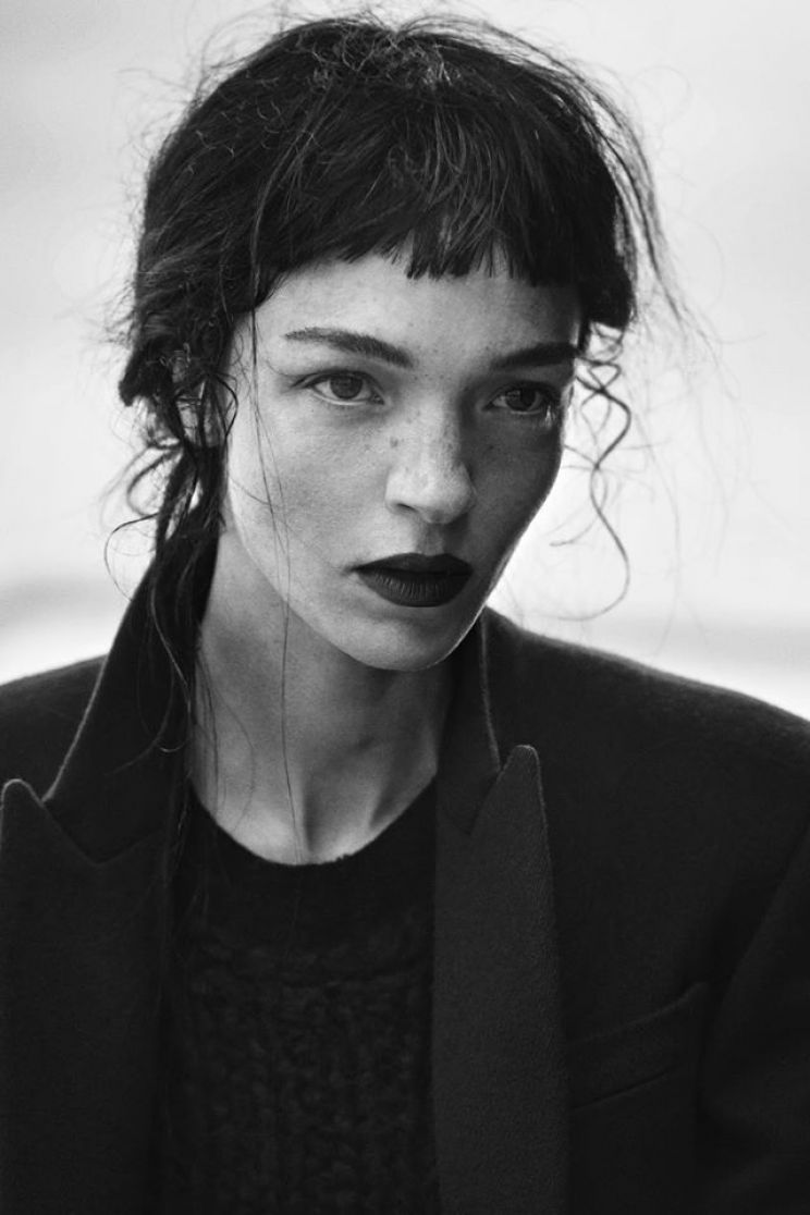 Mo Qi Wen