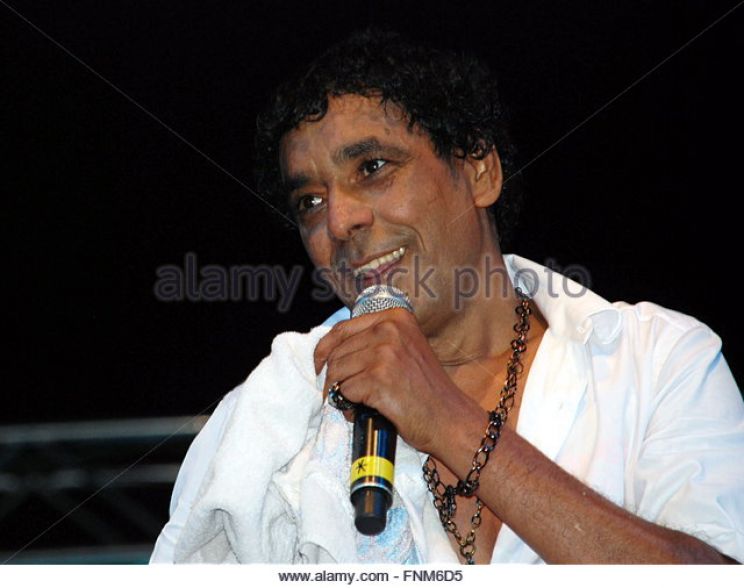 Mohamed Henedi