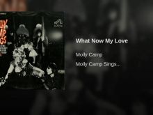 Molly Camp