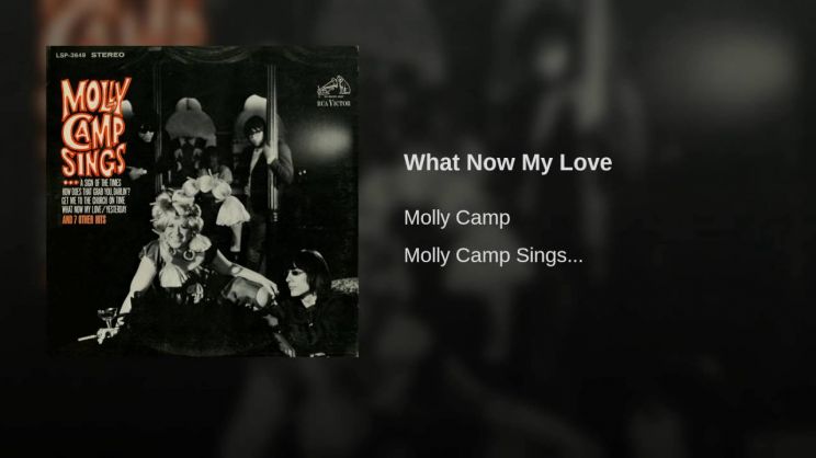 Molly Camp