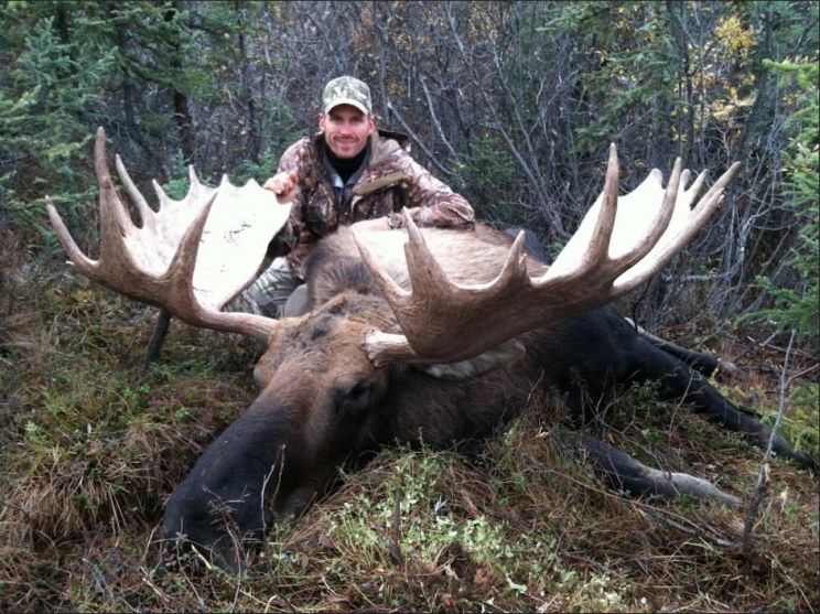 Moose
