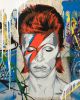 Mr. Brainwash