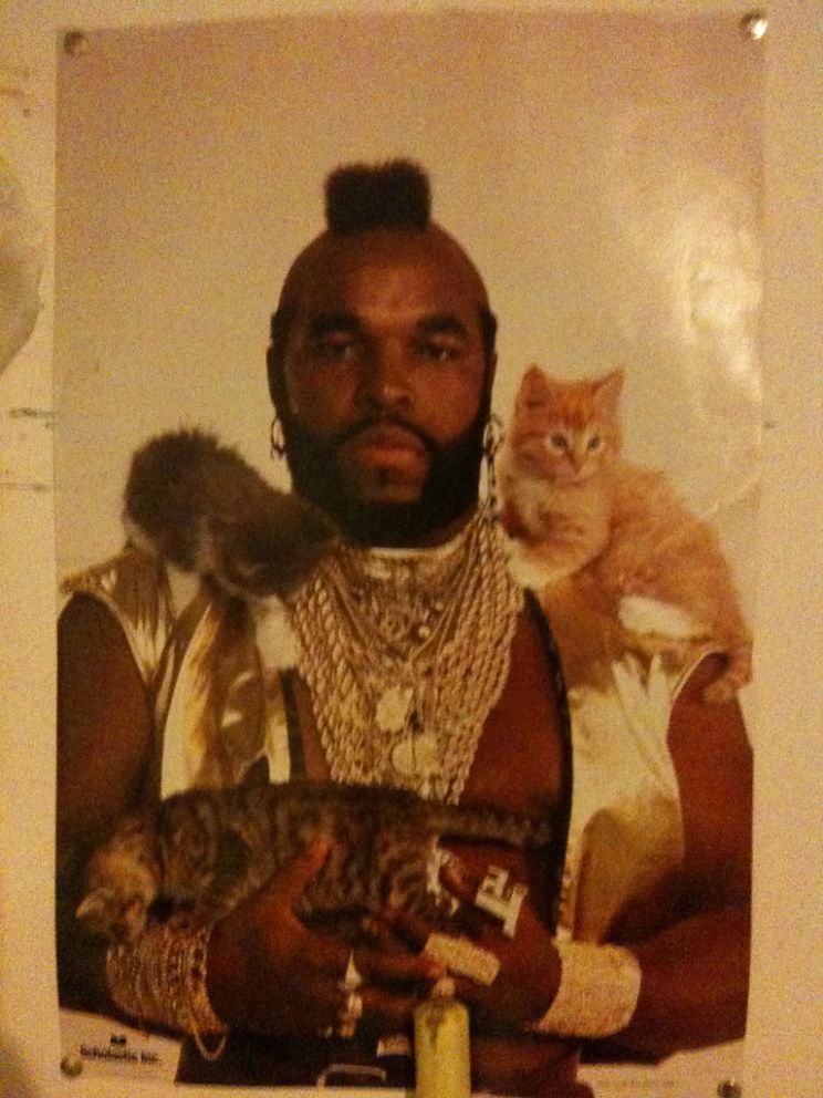 Mr. T